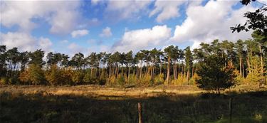 Mooi wandelweer - Beringen