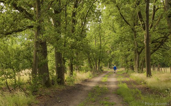 Mooi wandelweer - Pelt