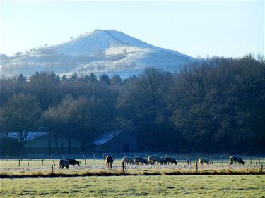 Mooi wandelweer - Beringen