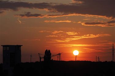 Mooie dagen - Beringen