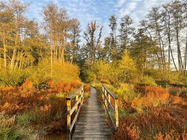 Mooie herfstdag - Beringen & Leopoldsburg