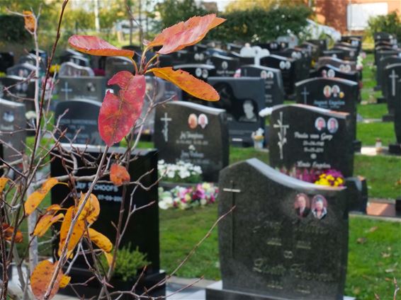 Mooie herfstkleuren op de begraafplaatsen - Beringen