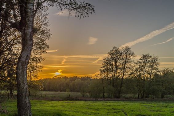 Mooie lucht begin mei - Overpelt