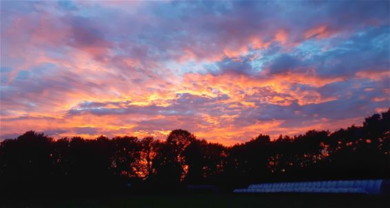 Mooie luchten boven Bosland - Hechtel-Eksel