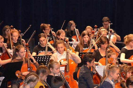 Mooie muziek uit roestbruine instrumenten - Neerpelt