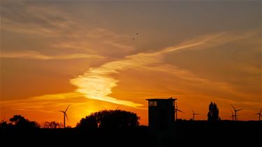 Mooie nazomer - Beringen