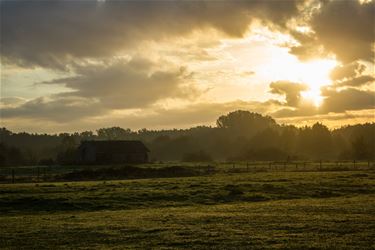 Mooie nazomer - Beringen