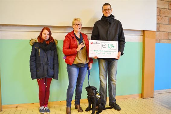 Mooie som vanwege Provil voor blindengeleidehonden - Lommel