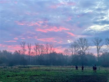 Mooie start van de winter - Beringen & Leopoldsburg