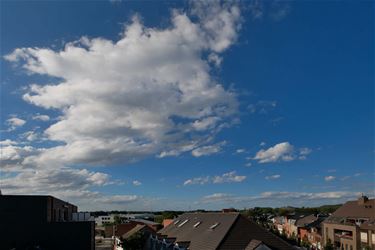 Mooie zomerdagen - Beringen & Leopoldsburg