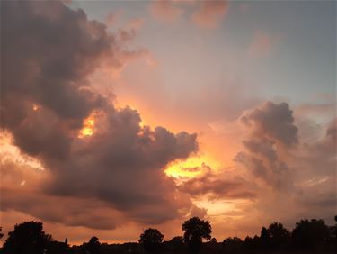 Mooie zonsondergang - Peer & Pelt