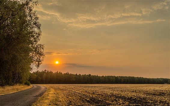 Mooie zonsondergang - Overpelt