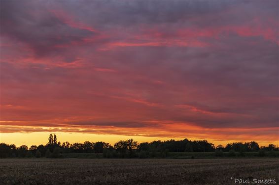 Mooie zonsondergang - Pelt