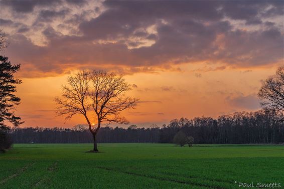 Mooie zonsondergang - Pelt