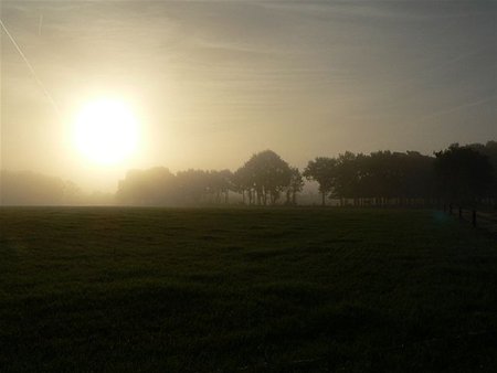 Mooie zonsopgang... - Overpelt