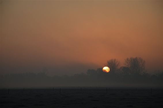 Mooie zonsopgang - Lommel