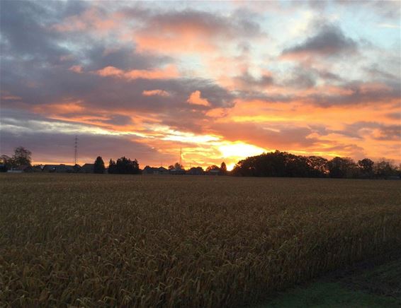 Mooie zonsopgang - Pelt