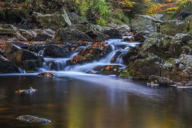 Mooiere landschapsfoto's - Pelt