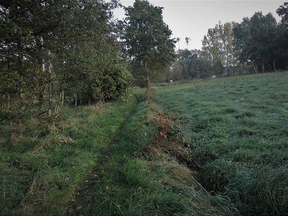 Zondag 'Dag van de Trage Weg' - Neerpelt