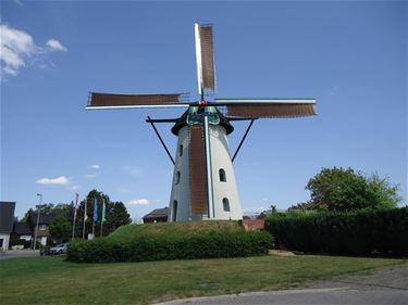 Morgen Limburgse molendag - Pelt