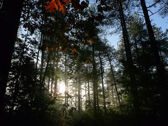 'Morgenstimmung' op het Hènt - Neerpelt