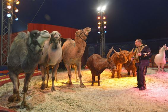 Moscow Star Circus in Beringen - Beringen