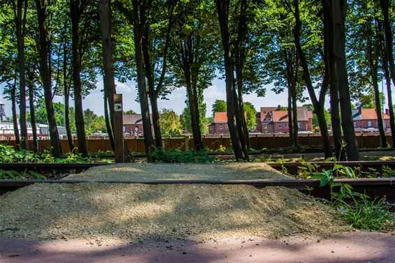 Mountainbikeroute in nieuw jasje - Beringen