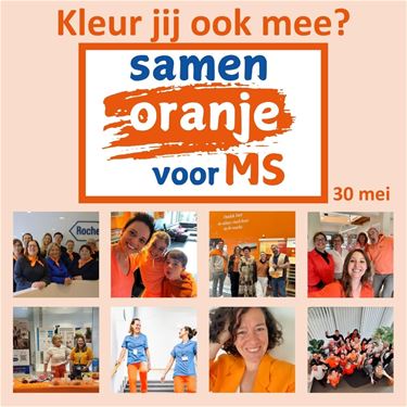 MS-Liga wil Vlaanderen oranje kleuren