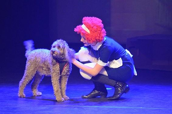 Musical 'Annie' gebracht door leerlingen - Overpelt