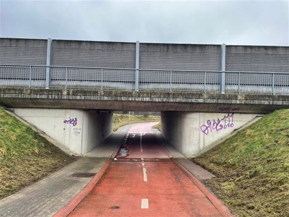 Muurschildering gaat laatste fase in - Oudsbergen