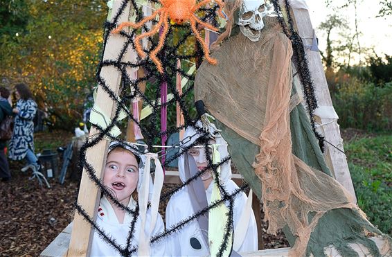 MuziekOspooky wandeling - Beringen