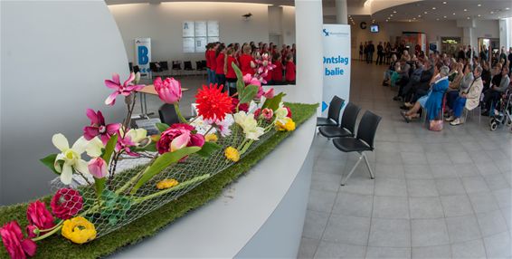 Muzikaal talent in het Mariaziekenhuis - Overpelt