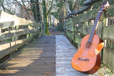 Muzikale winterwandeling - Beringen