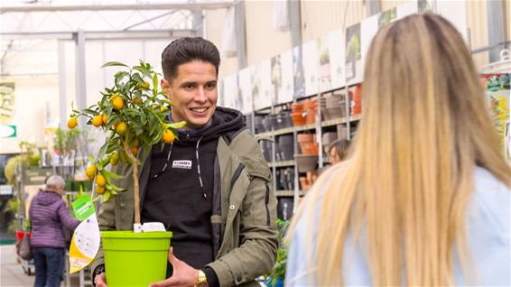 Na de huisklussen, de tuinklussen - Beringen