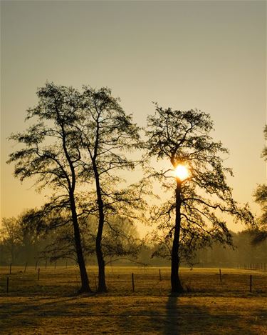 Na de mist komt de zon... - Beringen