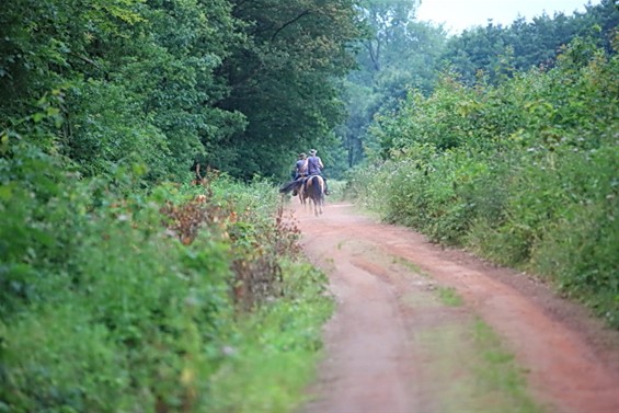 Na de storm, de rust - Lommel