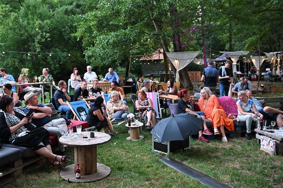 Na de zomerse muziekfilms: de Drive-In Movie - Houthalen-Helchteren & Beringen