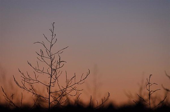 Na zonsondergang... - Peer