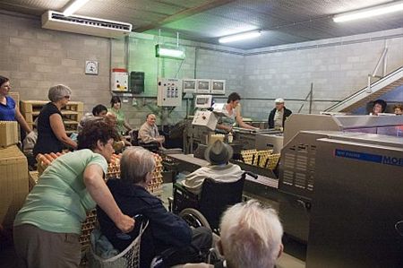 Naar de kakelende kippen - Neerpelt