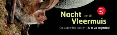 Nacht van de Vleermuis in Koersel - Beringen