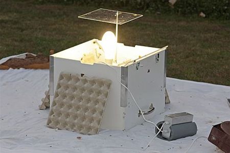 Nachtvlinders vangen voor de wetenschap - Lommel