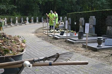 Najaarsschoonmaak op de begraafplaatsen - Hamont-Achel