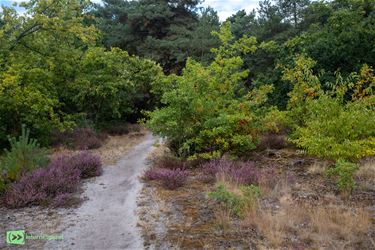 Nationaal Park Bosland waarschuwt