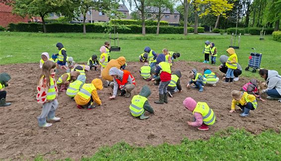 Natuur dichter bij de klas in Valkstraat - Peer