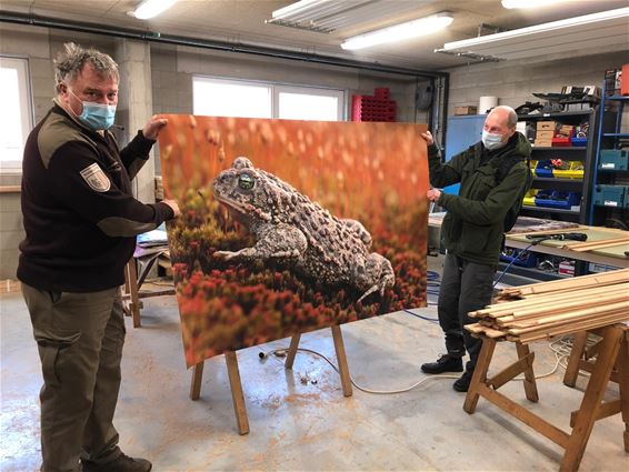 Natuur- en landschapsfoto's in het Pijnven - Hechtel-Eksel