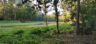 Natuur in Boven-Stal - Beringen