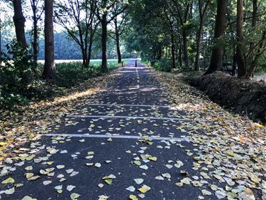 Natuur in herfstmodus - Beringen