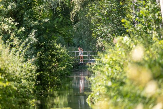 Natuur op een maandag - Lommel