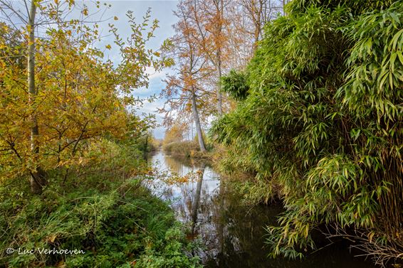 Natuur op vrijdag - Lommel