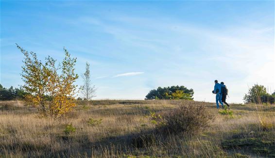 Natuur op vrijdag - Lommel
